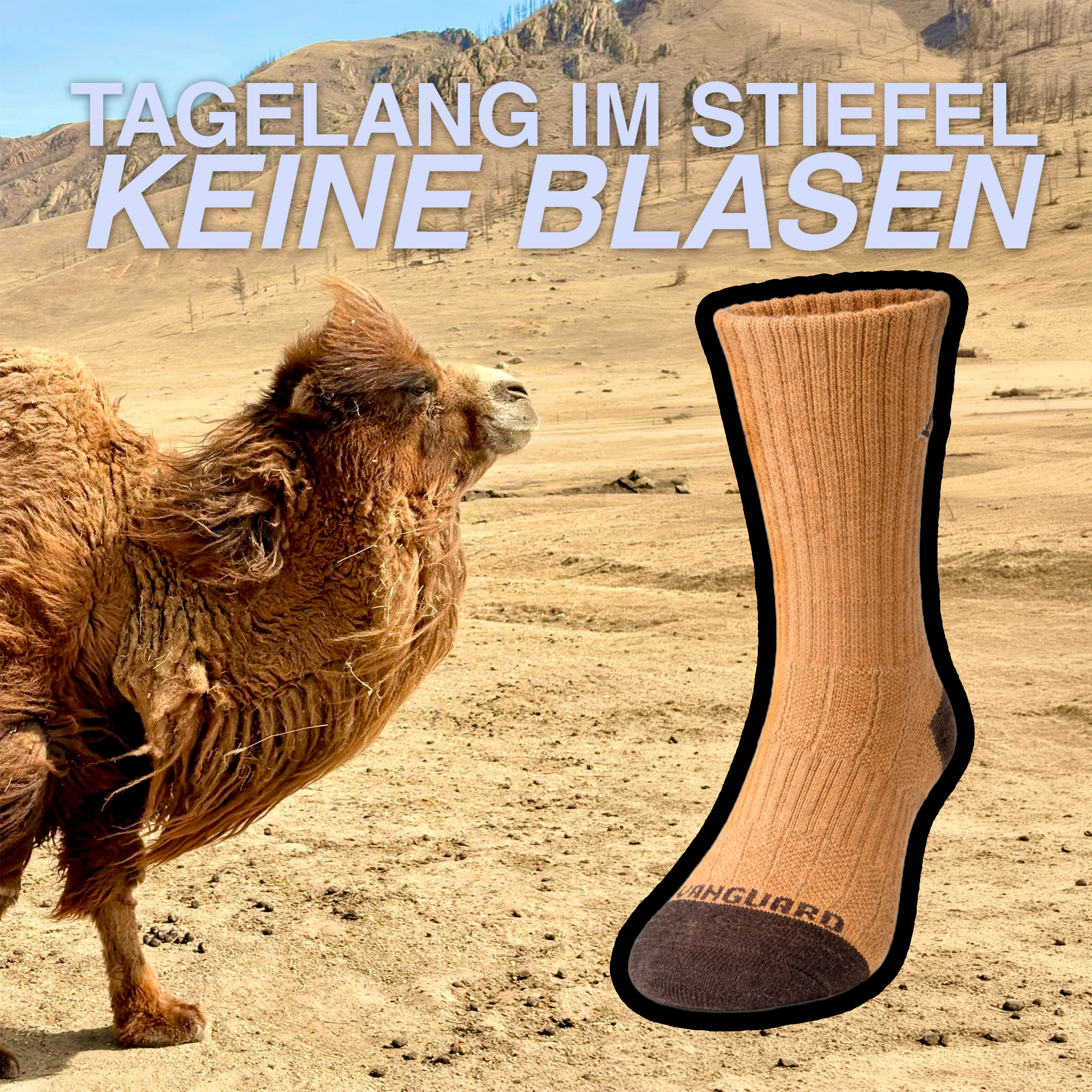 −40 °C bis +40 °C: Die Kamelhaar-Socke, die Vanguard drei Jahre gebaut hat